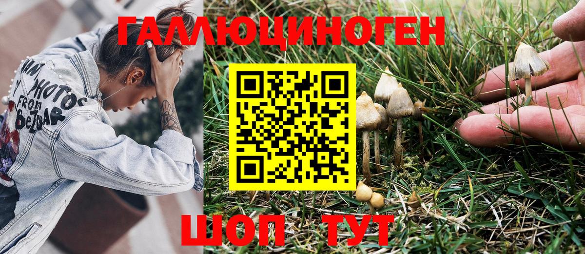 Галлюциногенные грибы мицелий  Псилоцибиновые грибы MAGIC MUSHROOMS  Борзя  Вход с VPN 